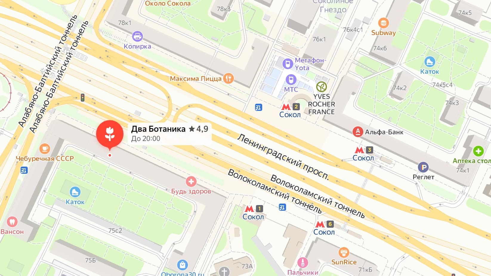 Два Ботаника Сокол