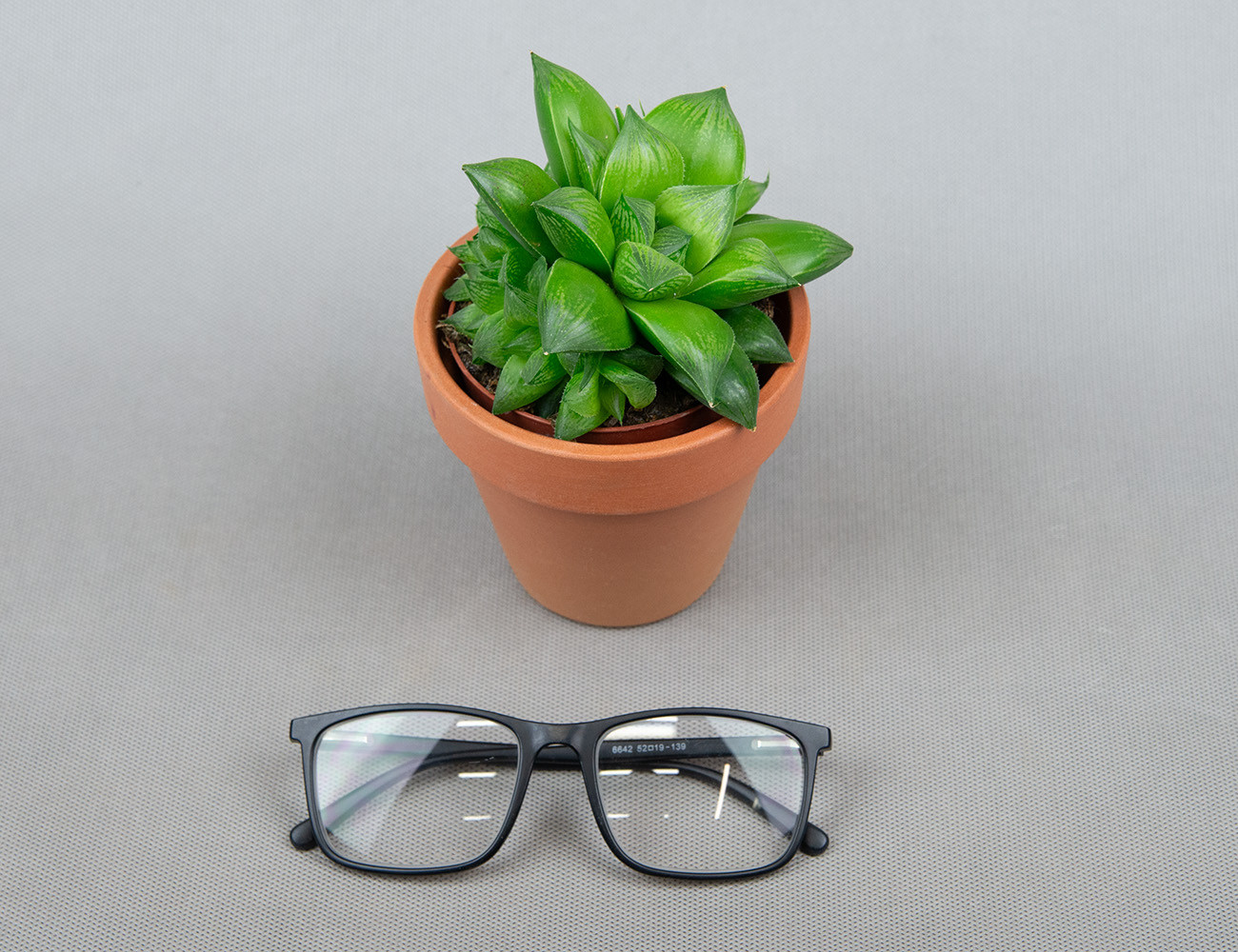 Хавортия Купера Ø9