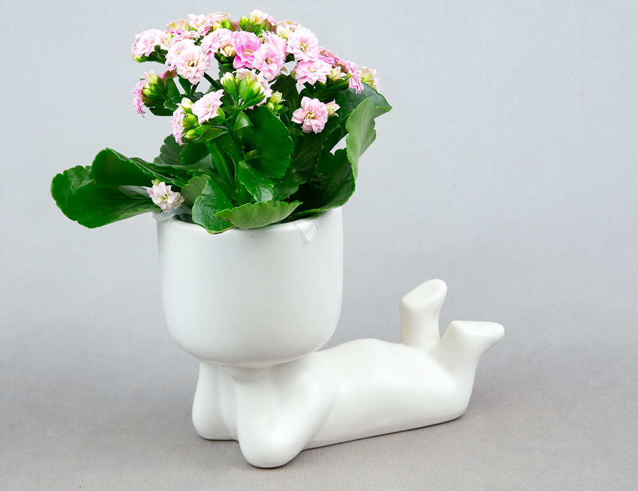 Кашпо Chill Guy