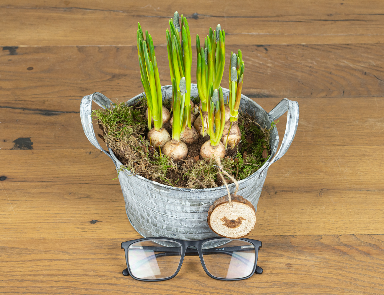 Мускари в круглом ведерке