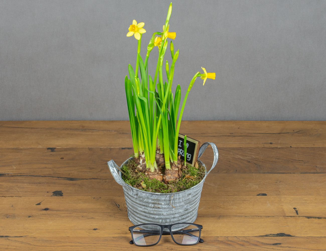 Нарциссы в круглом ведерке